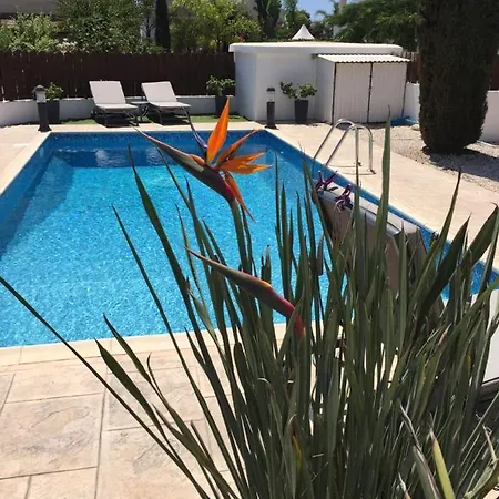 Ayia Thekla 65 House Villa Agia Napa